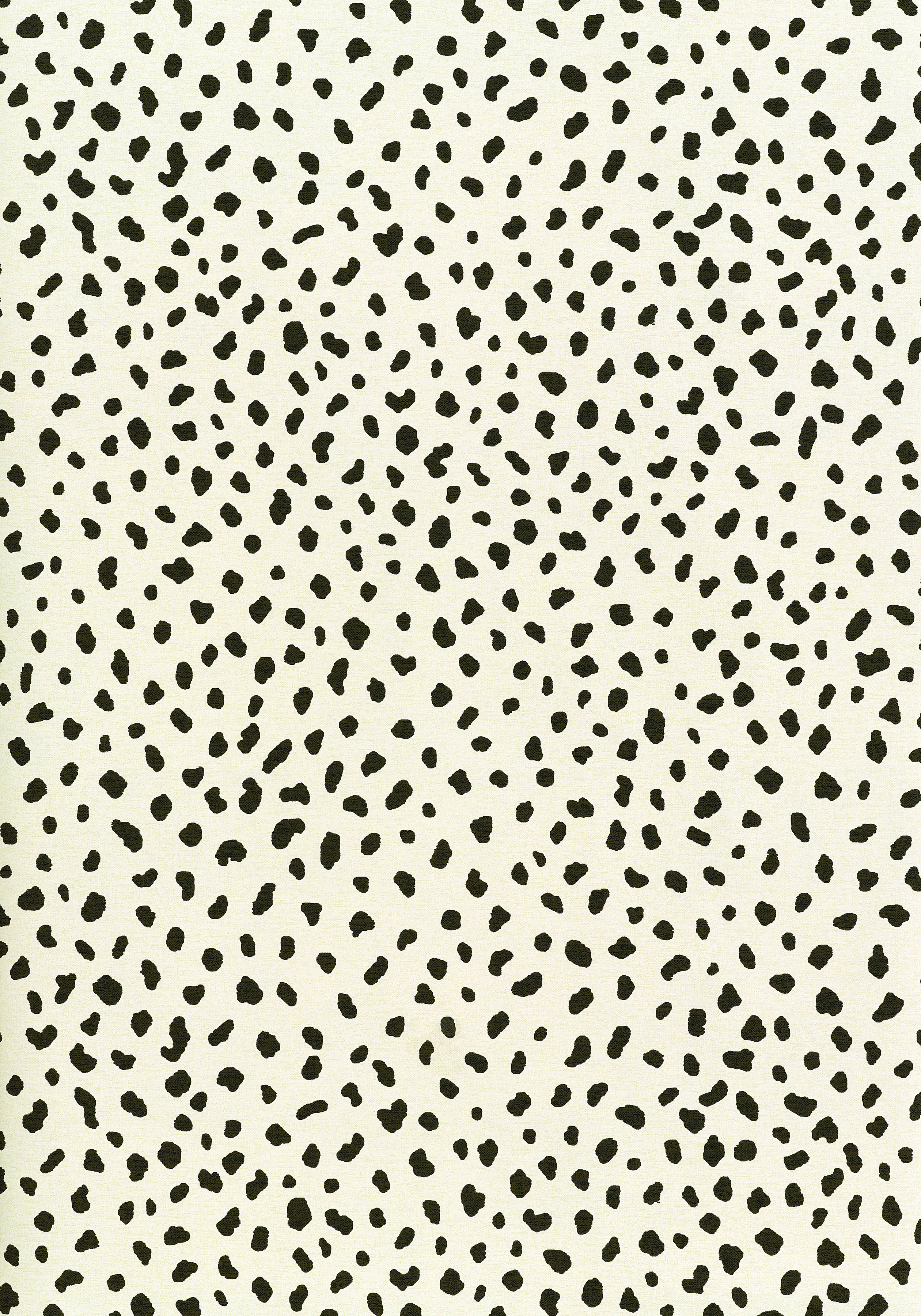 tanzania wallpepr leopard print black and white thibault design cool  wallpaper ideas pinterest diy affordable wallpaper design shop room ideas –  Shop Room Ideas