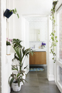 natural modern indoor garden bathroom palm tree bohemian washroom powder room free standing udner mounted vessel sink vanity shop room dieas slate tiles airy white shop room ideas subway tiles